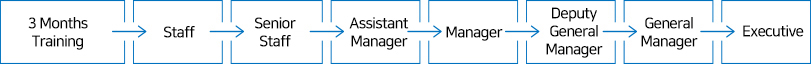 Promotion System: 3 Months Training- Staff- Senior Staff- Assistant Manager – Manager  - Deputy General Manager – General Manager - Executive