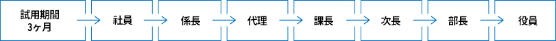 試用期間3ヶ月 - 社員 - 係長 - 代理 - 課長 - 次長 -部長 -役員